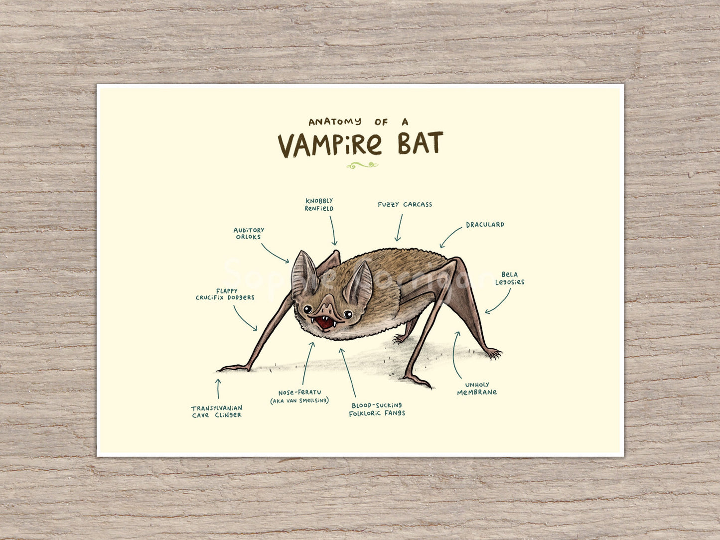 Anatomy of a Vampire Bat Signed Art Print