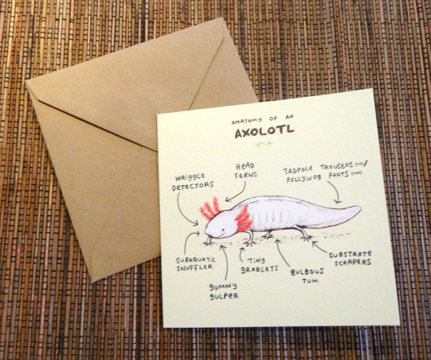 Anatomy Of An Axolotl Card