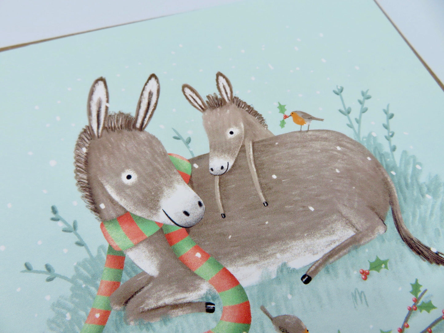 Donkeys and Robins Cosy Christmas Card