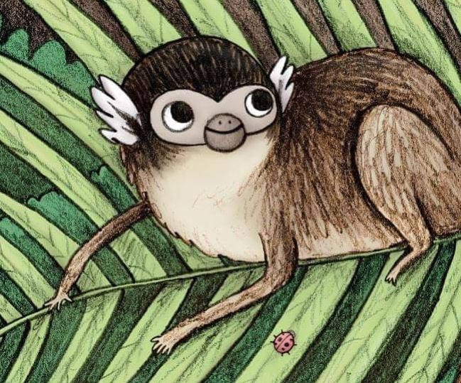 I'm a Little Monkey Signed Illustrated Children's Picture Book
