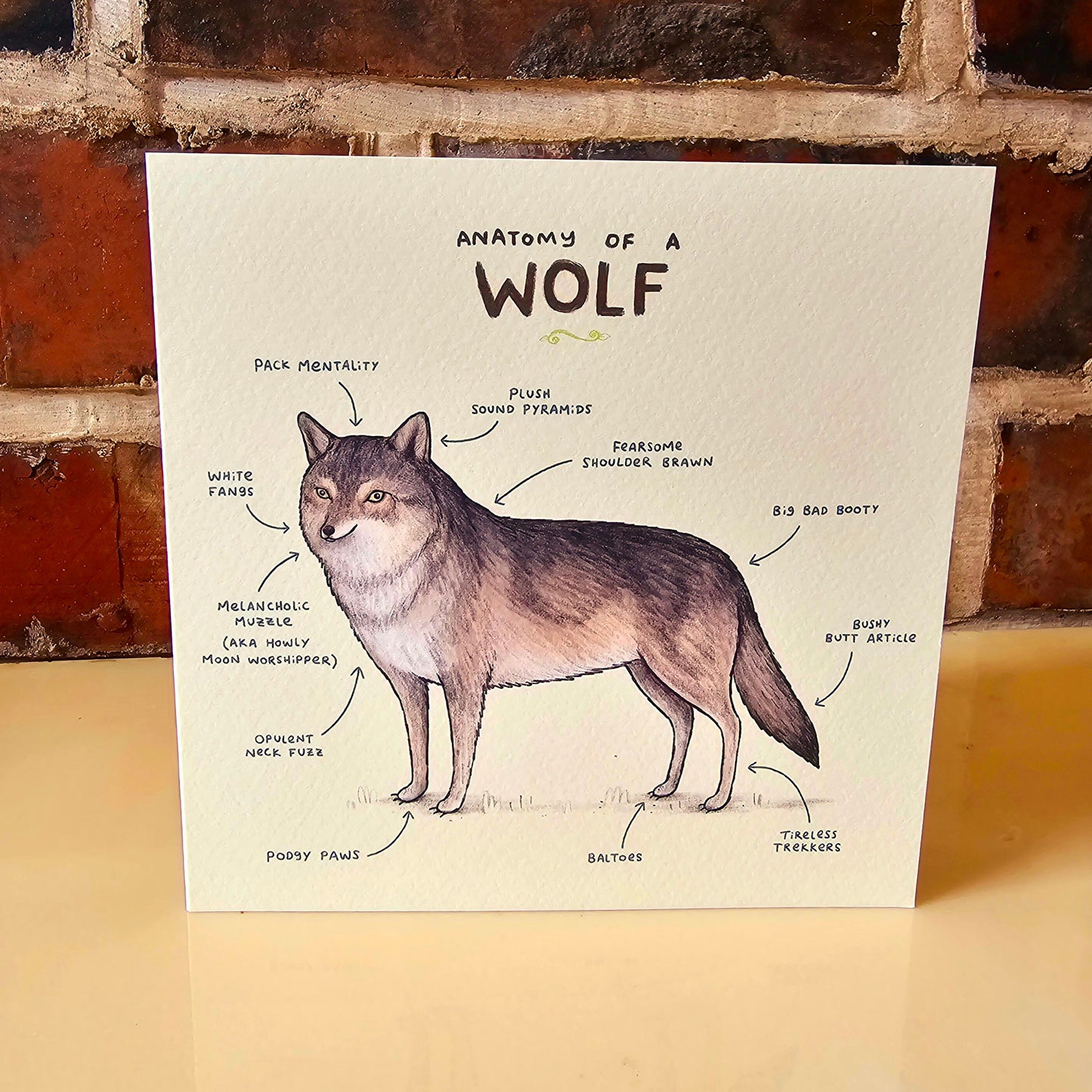 Anatomy of a Wolf Greeting Card: Funny Anatomical Illustration