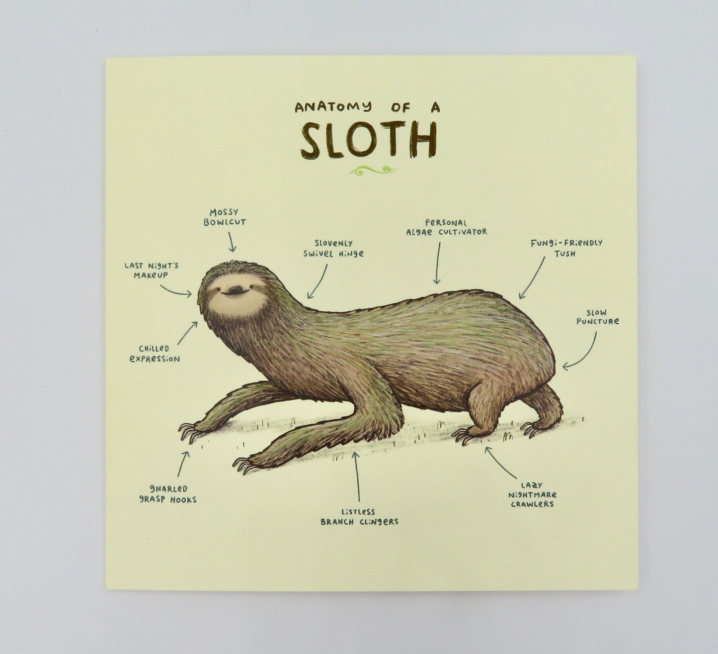 Anatomy of a Sloth Card