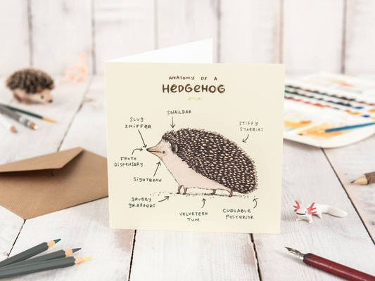 Anatomy Of A Hedgehog Card
