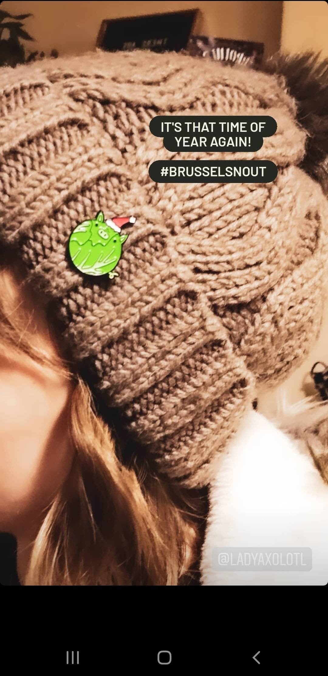 Brussels Snout Christmas Brussel Sprout Pig Pin Badge