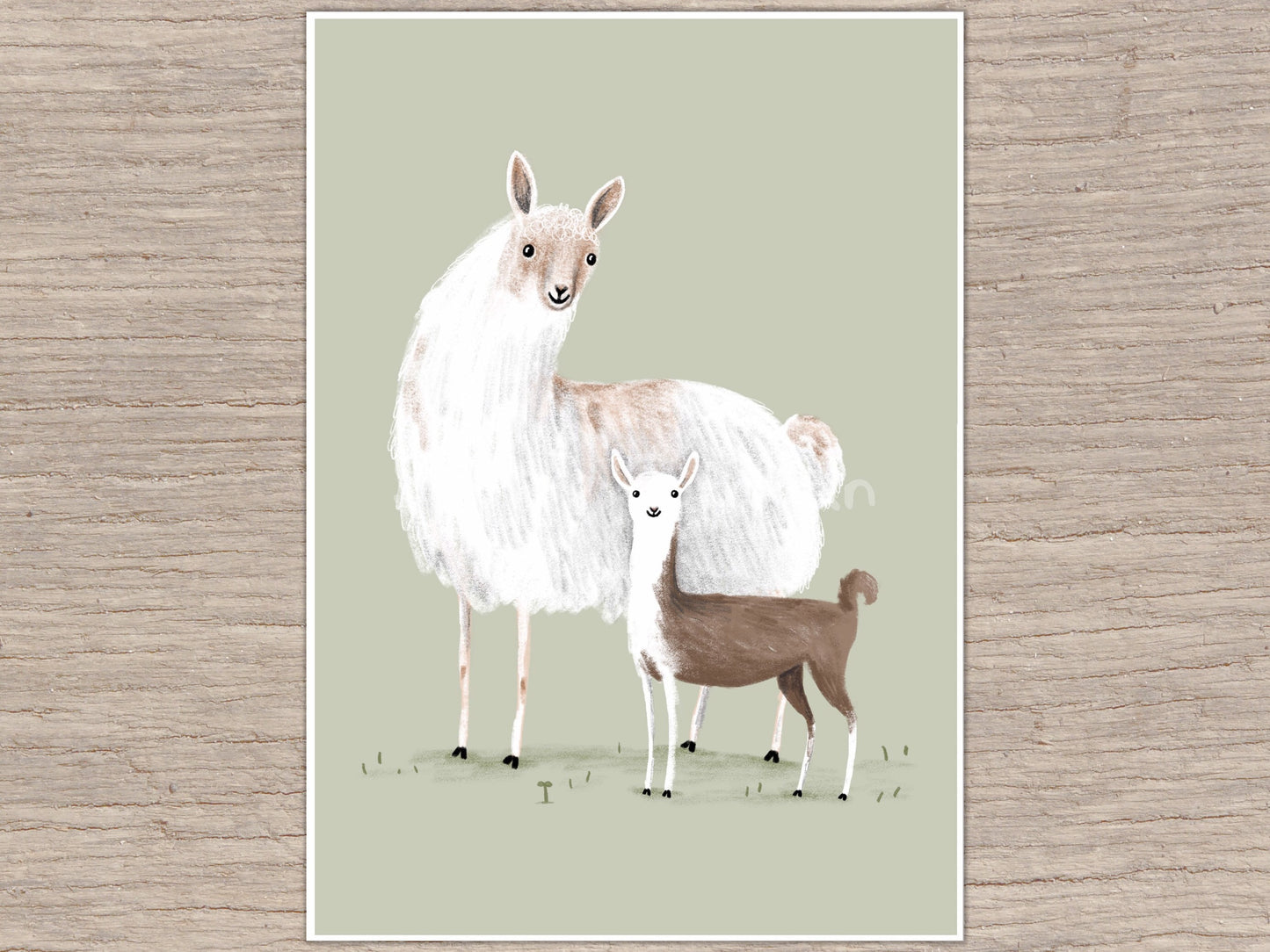 Llama Mama Signed Fine Art Print