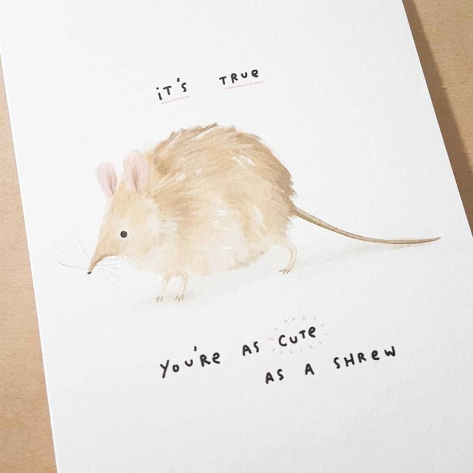 You're as Cute as a Shrew Card - Adorable Funny Fluffy Shrews Valentines Friend