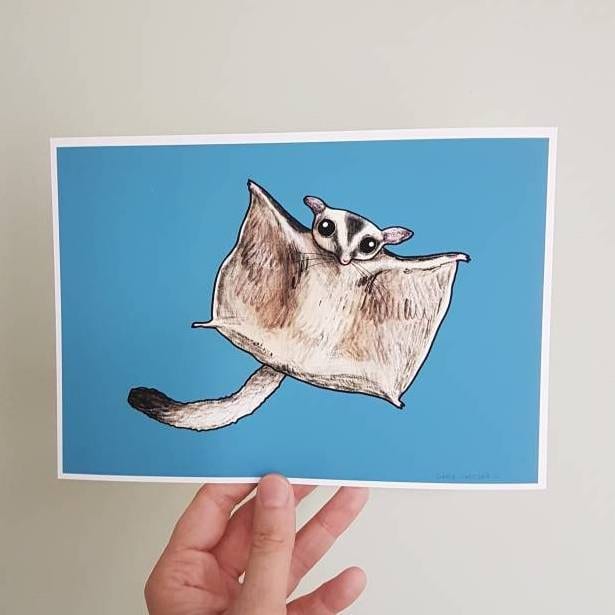 Cute Flying Sugar Glider Signed Art Print