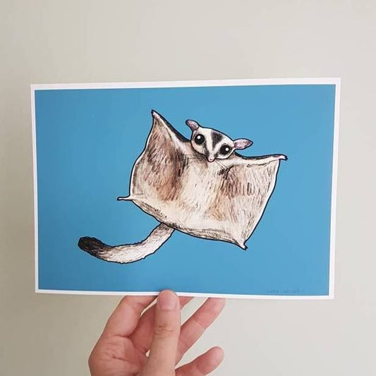 Cute Flying Sugar Glider Signed Art Print
