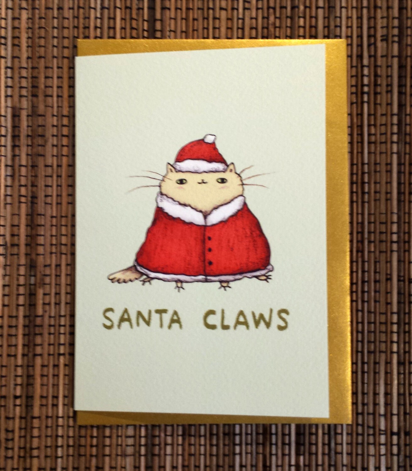 Santa Claws Cat Cute Costume Christmas Card
