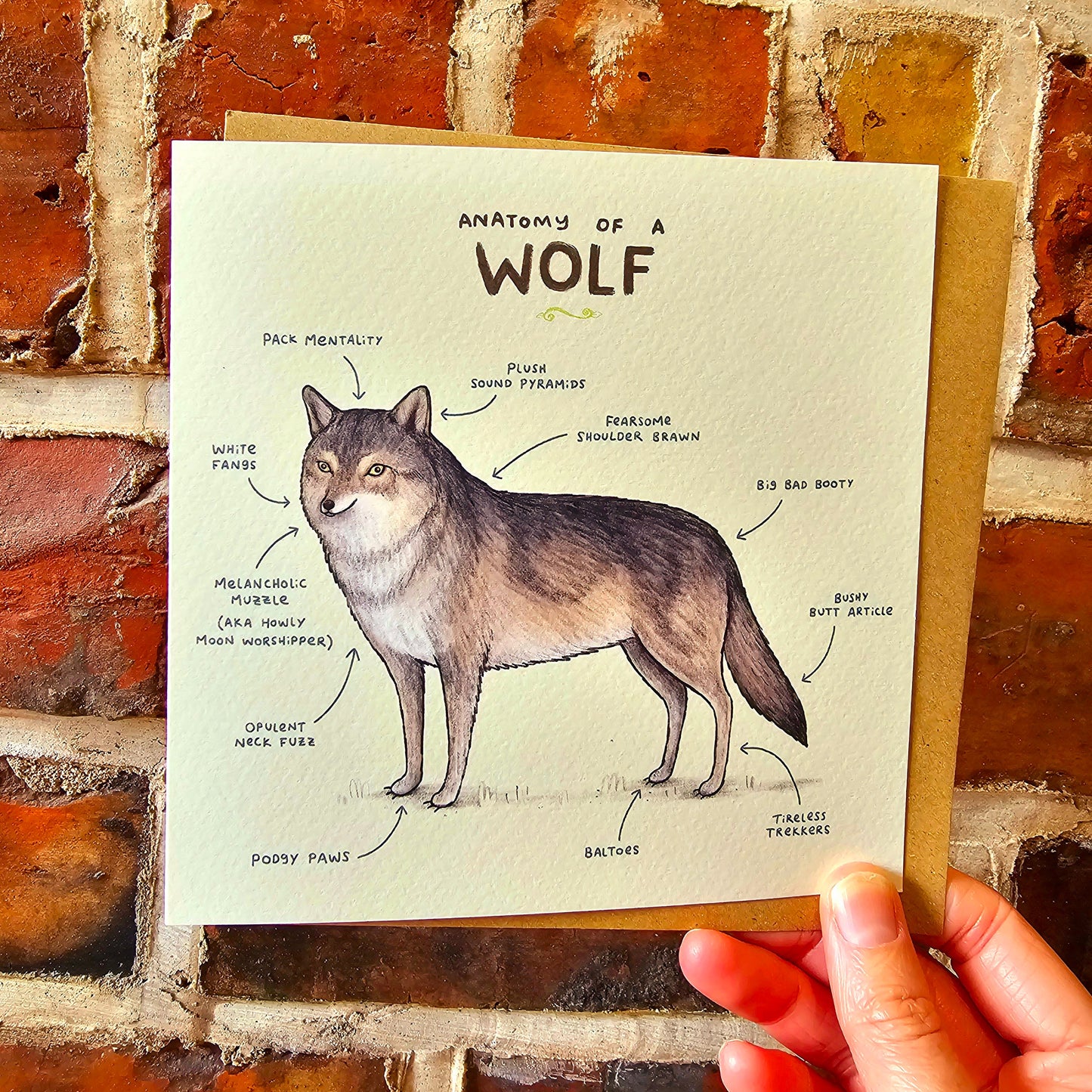 Anatomy of a Wolf Greeting Card: Funny Anatomical Illustration