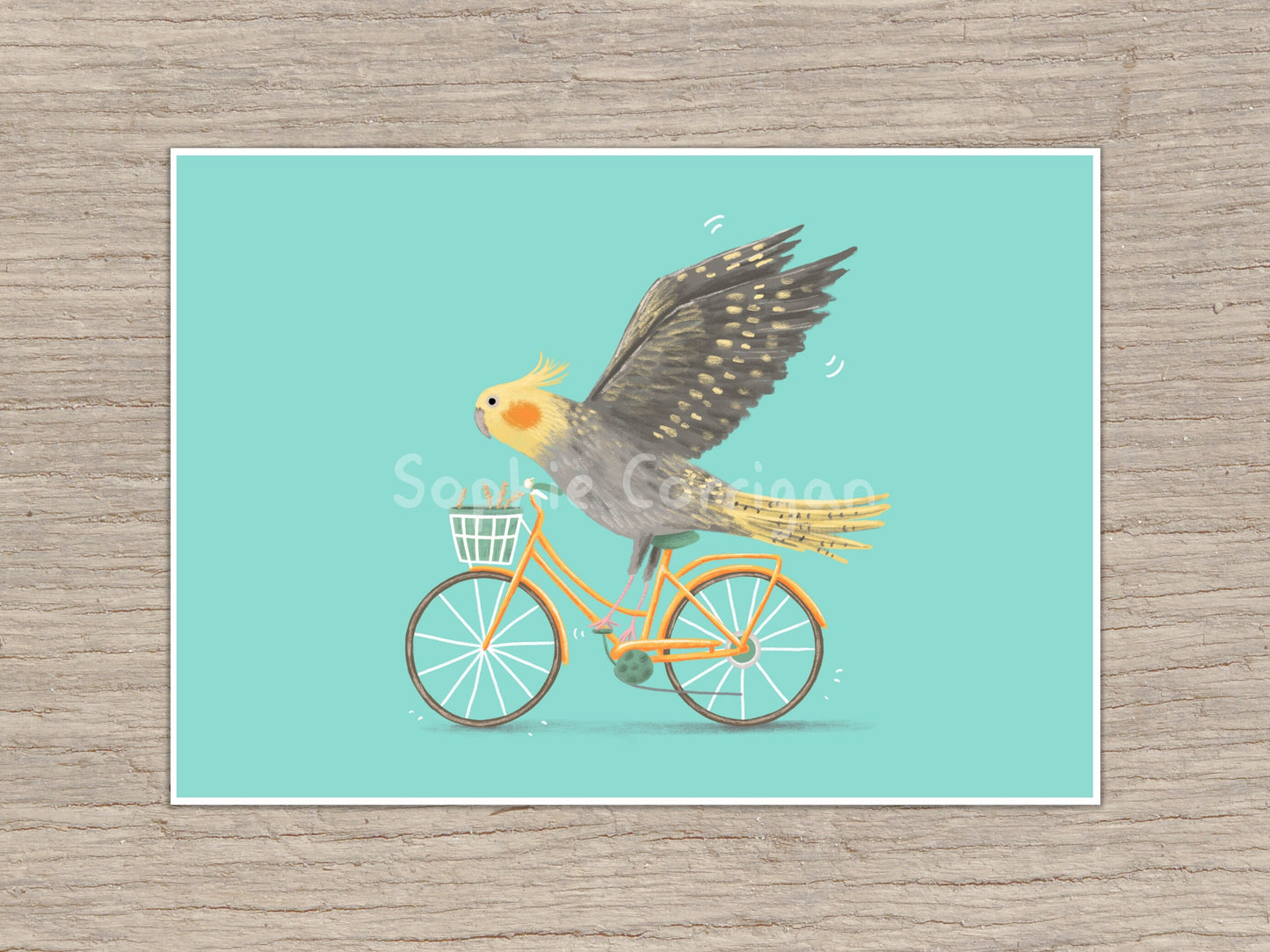 Cockatiel on a Bicycle Signed Art Print