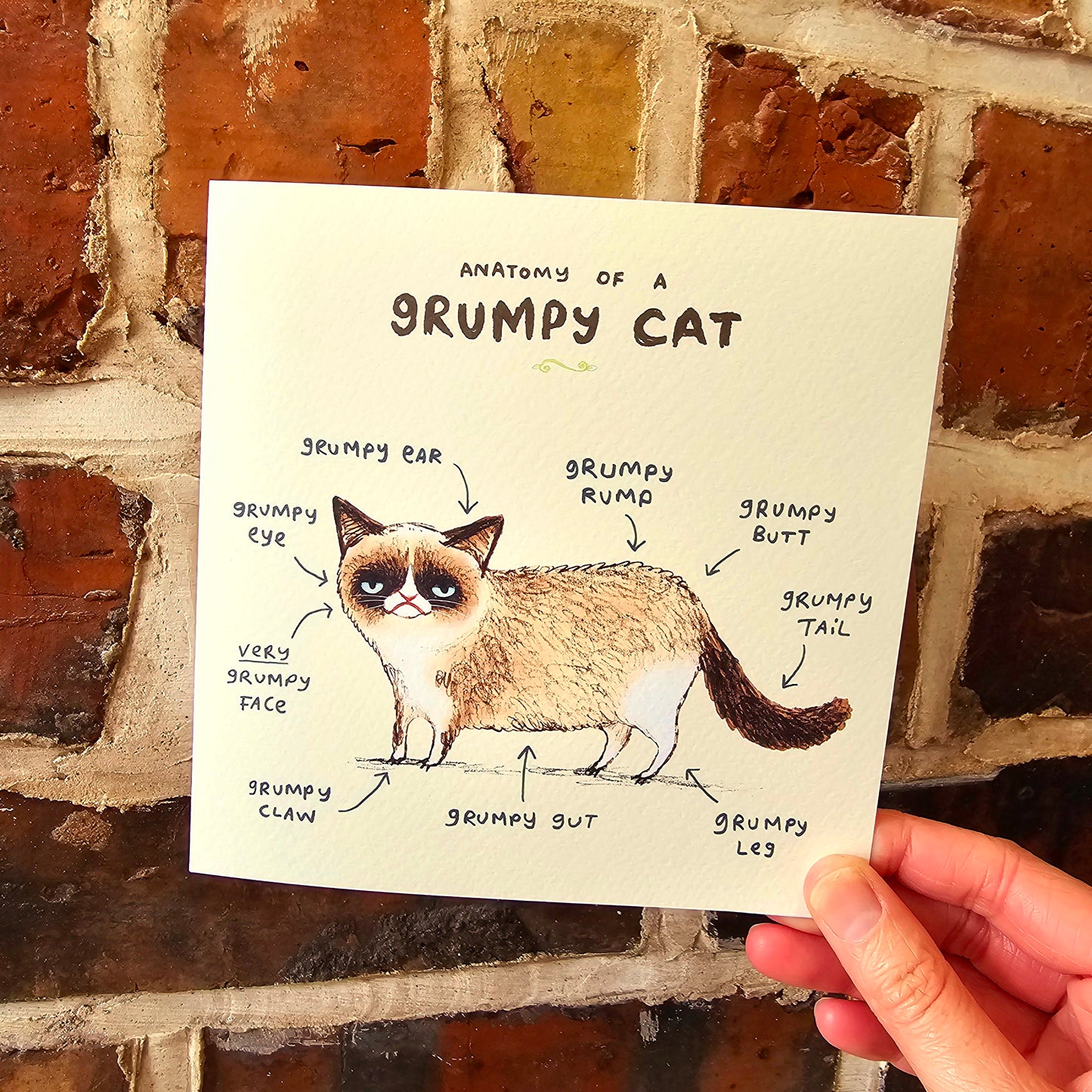 Anatomy Of A Grumpy Looking Cat Card