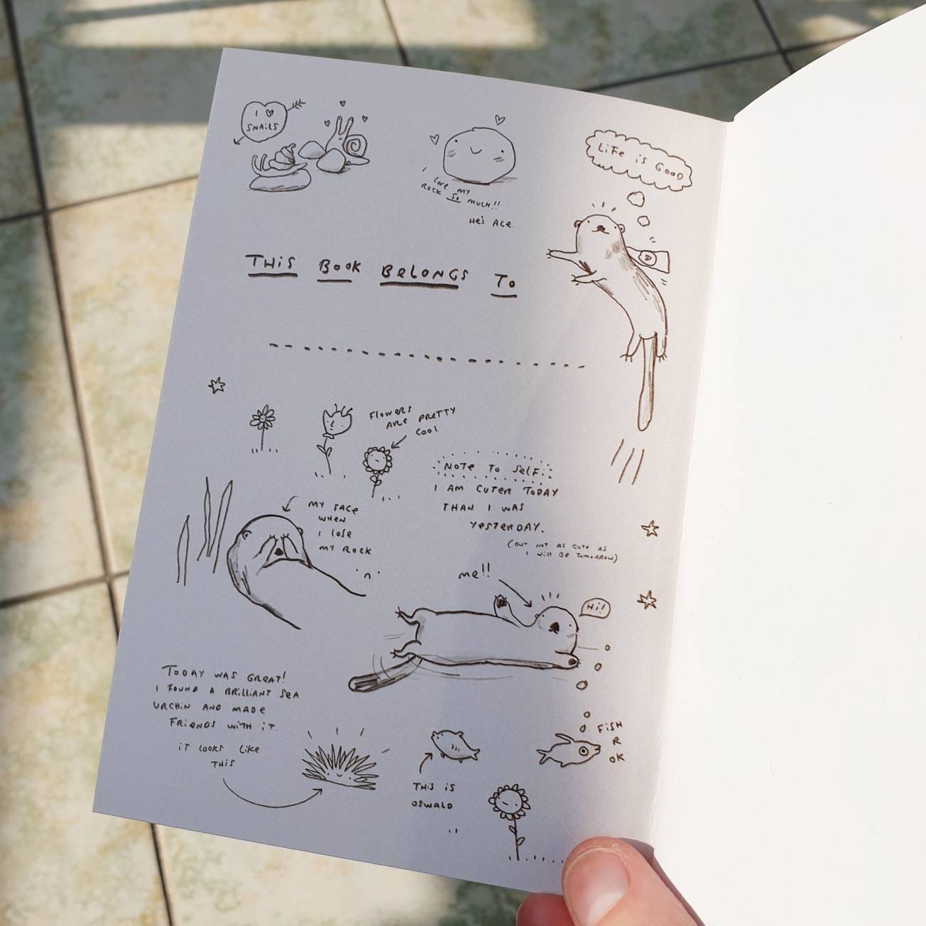 Otter Jotter Notebook