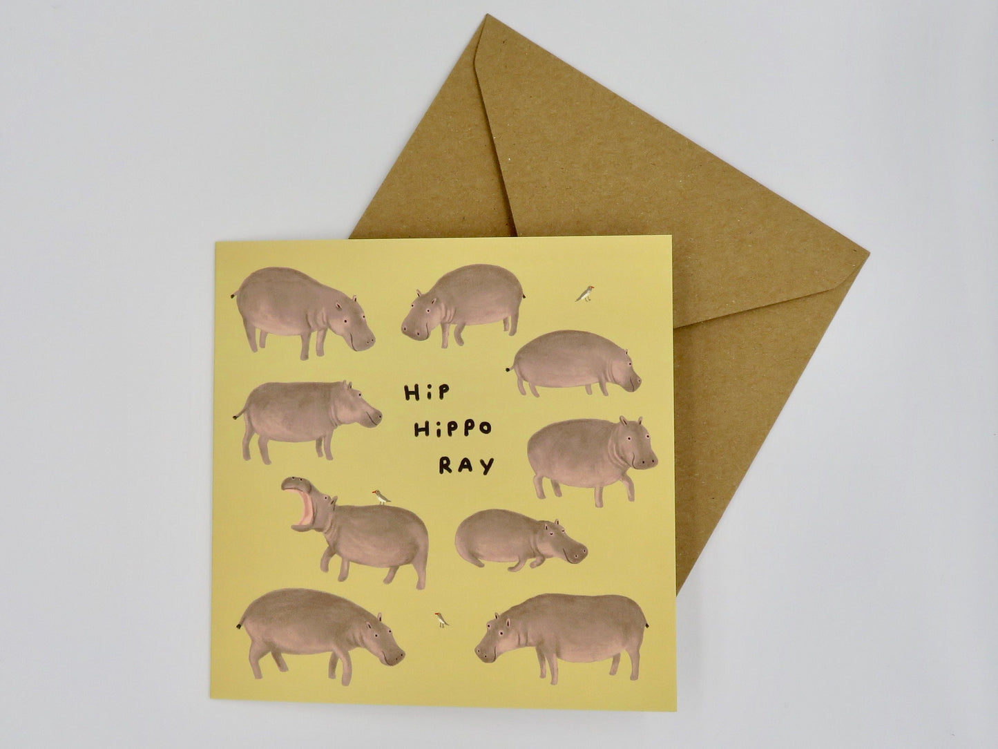 Hip Hippo Ray Birthday Celebration Card