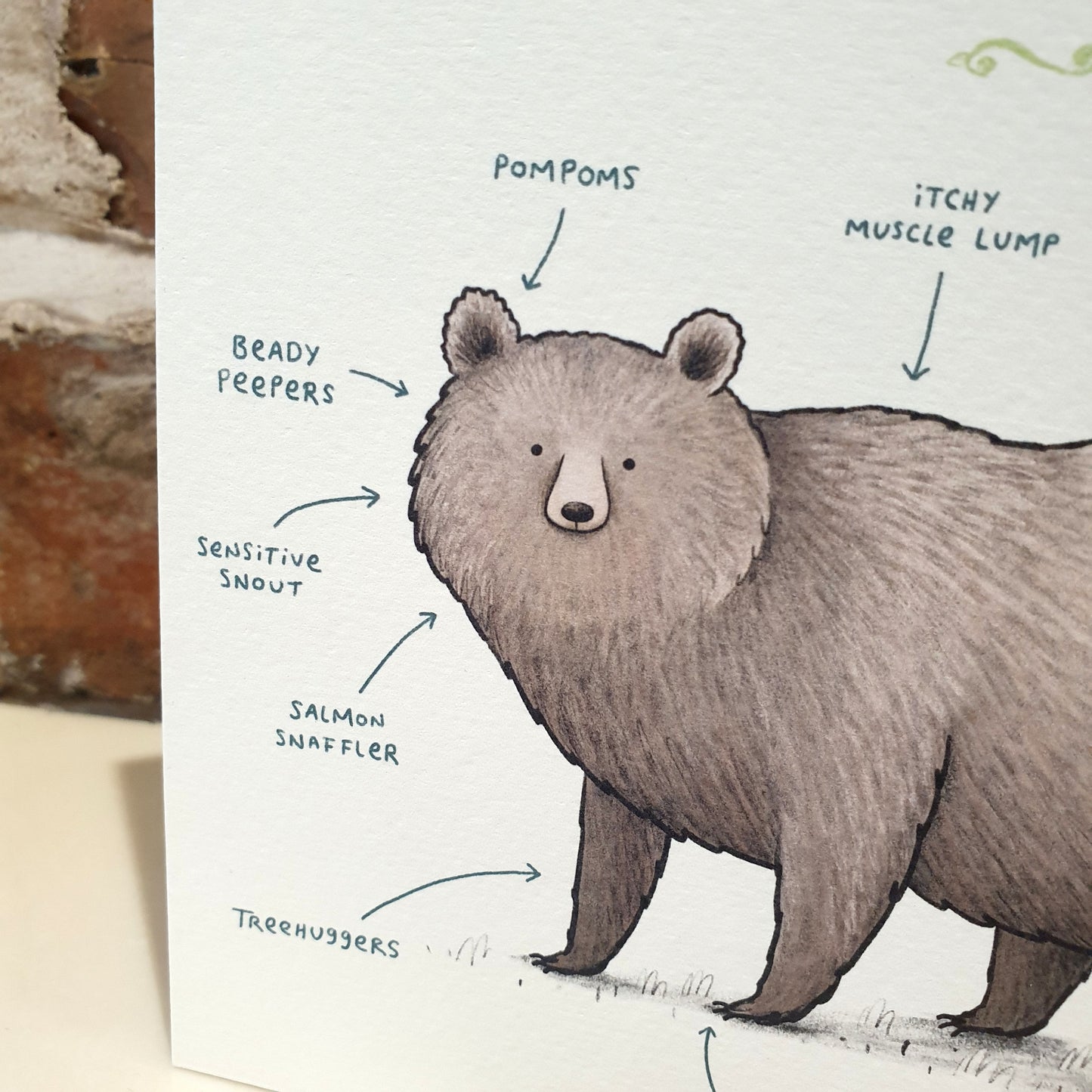 Anatomy of a Grizzly Bear Card