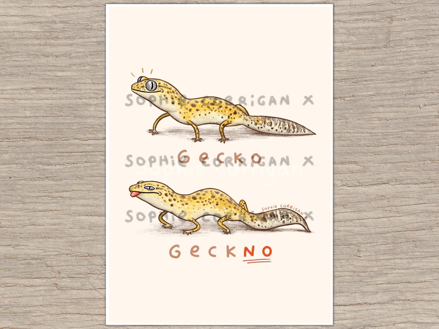 Gecko Geckno  Signed Art Print