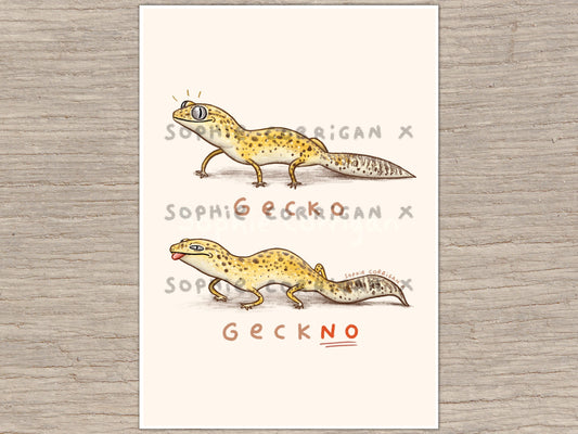 Gecko Geckno  Signed Art Print