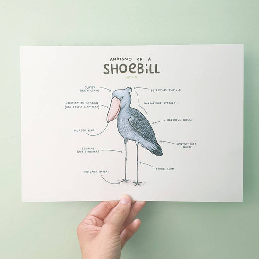 Anatomy Of A Shoebill A4 Signed Print