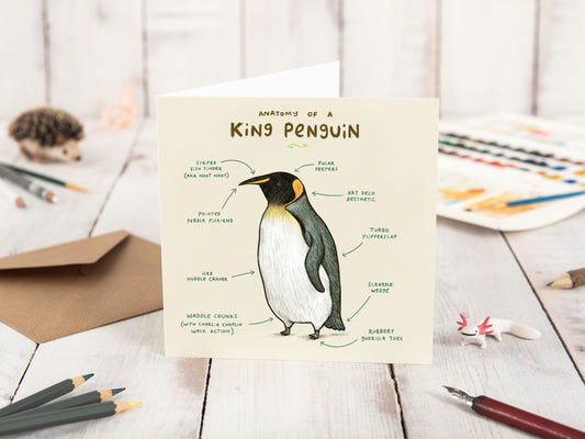 Anatomy of a Penguin Card: Scientific Animal Illustration