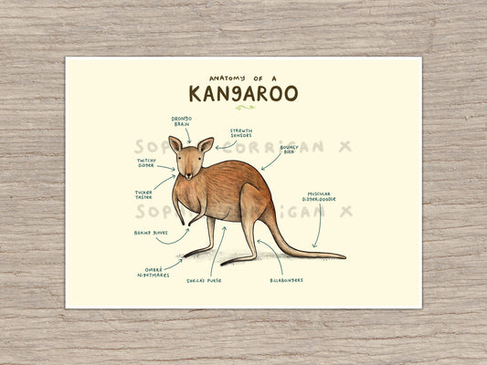 Anatomy of a Kangaroo Signed Art Print