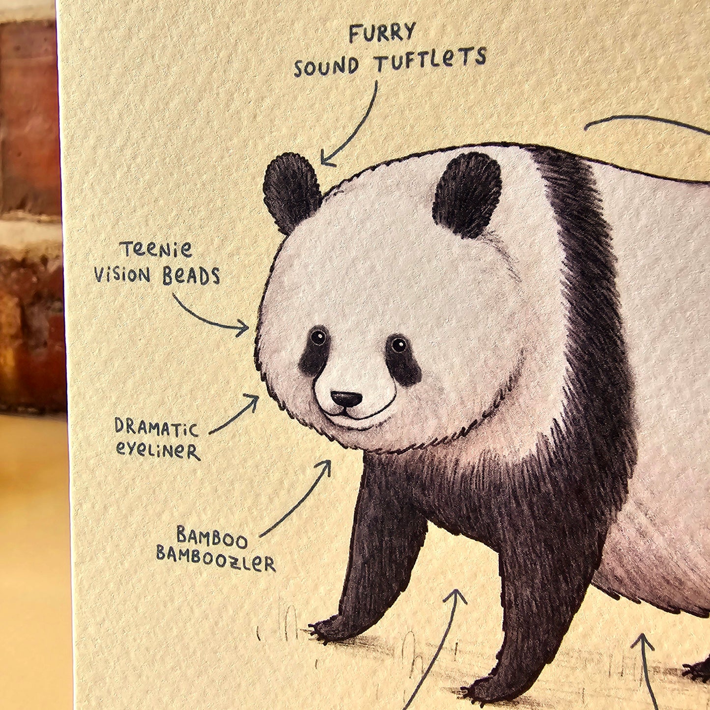Anatomy Of A Giant Panda Card