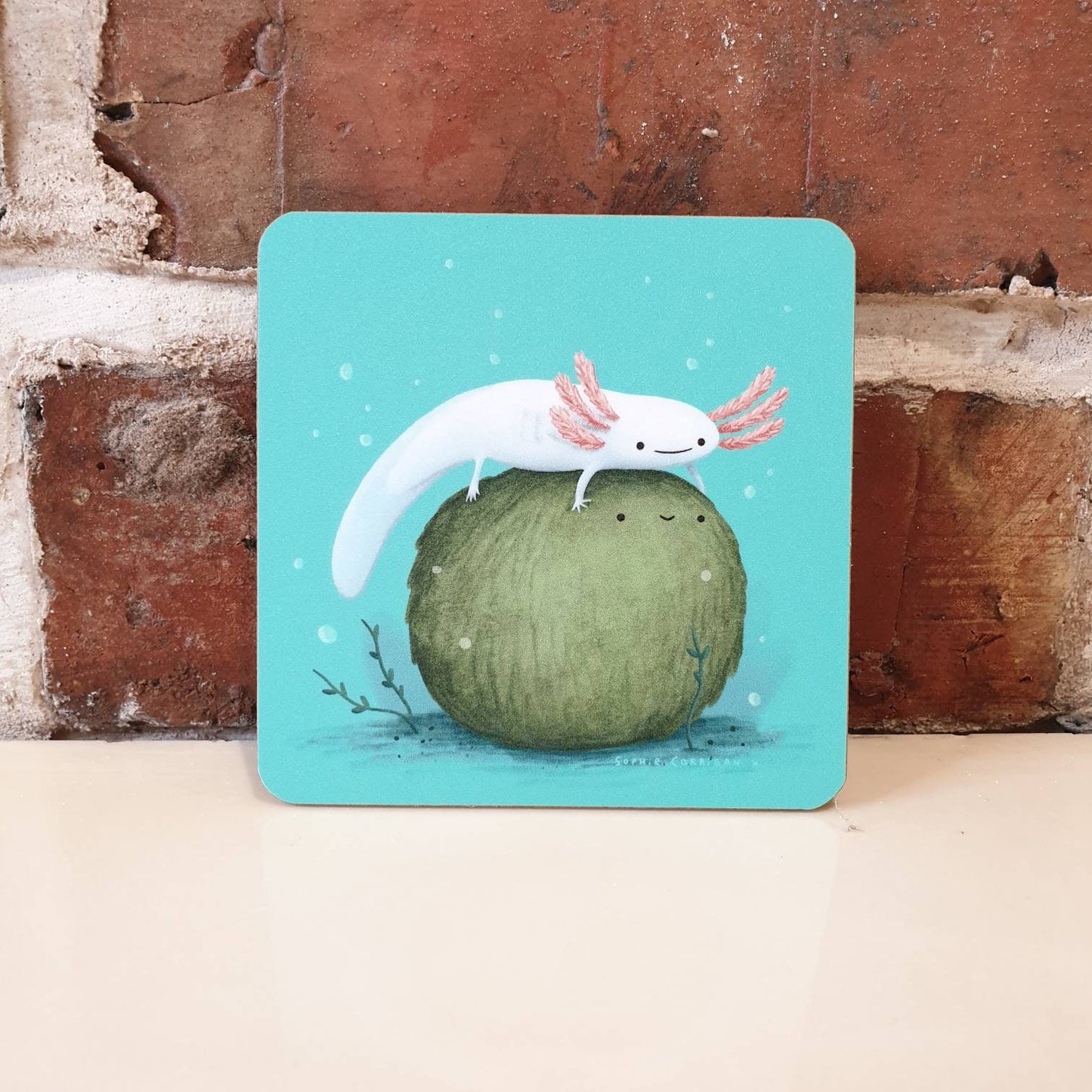 Axolotl on a Mossball Coaster