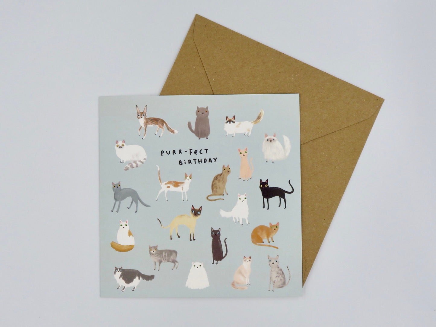 Purrfect Cats Birthday Card