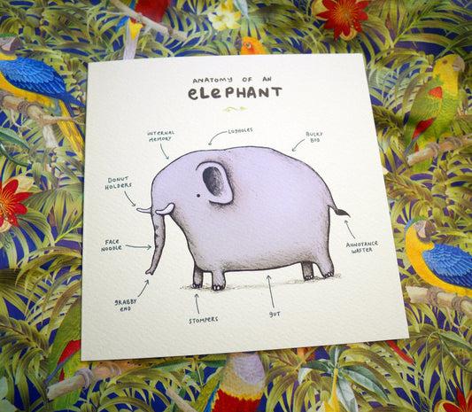Anatomy of an Elephant Card