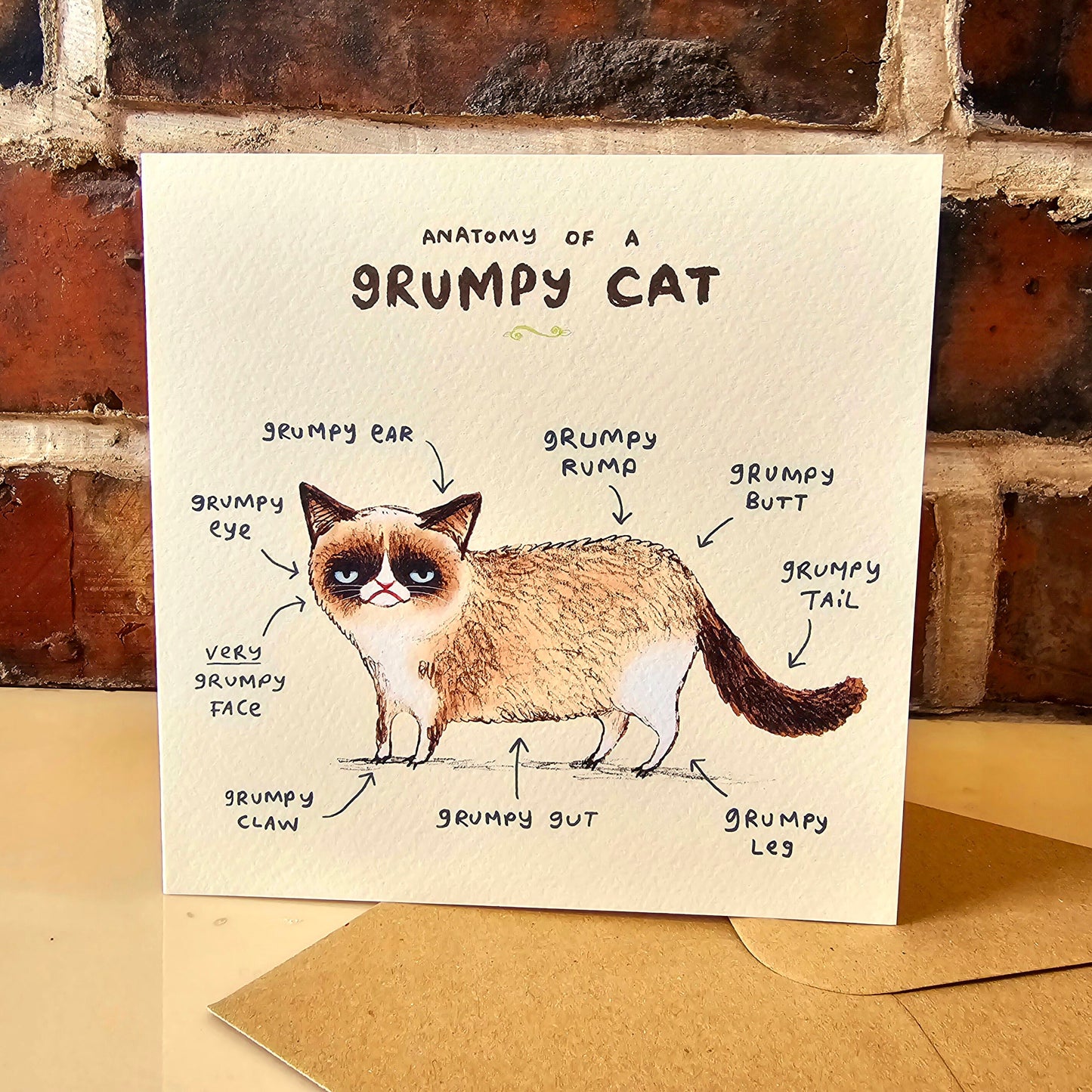 Anatomy Of A Grumpy Looking Cat Card