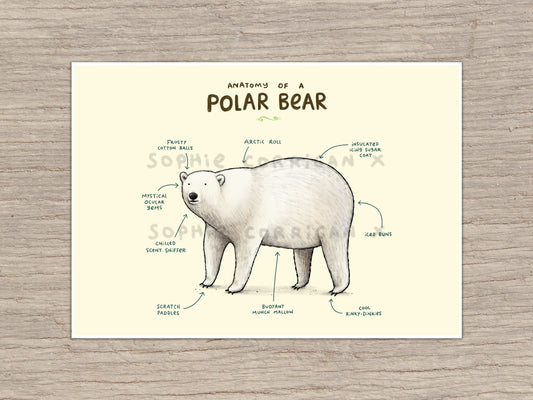 Anatomy of A Polar Bear Signed Art Print