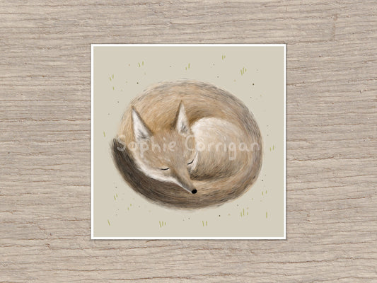 Swift Fox Sleeping Signed Art Print