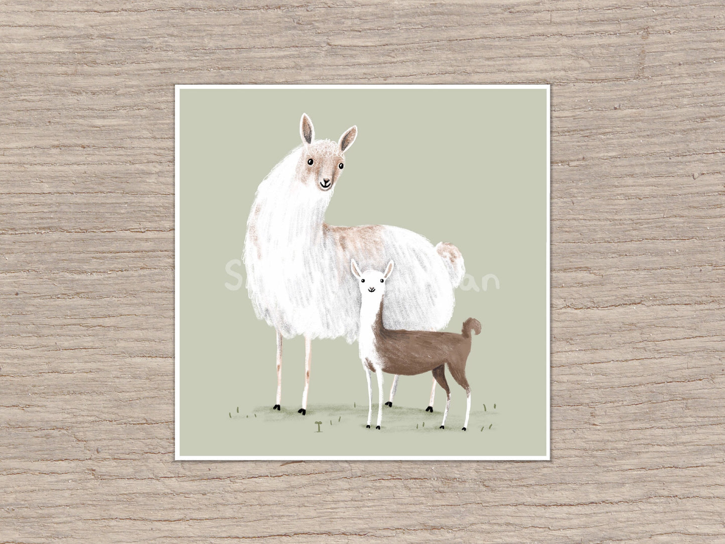 Llama Mama Signed Fine Art Print