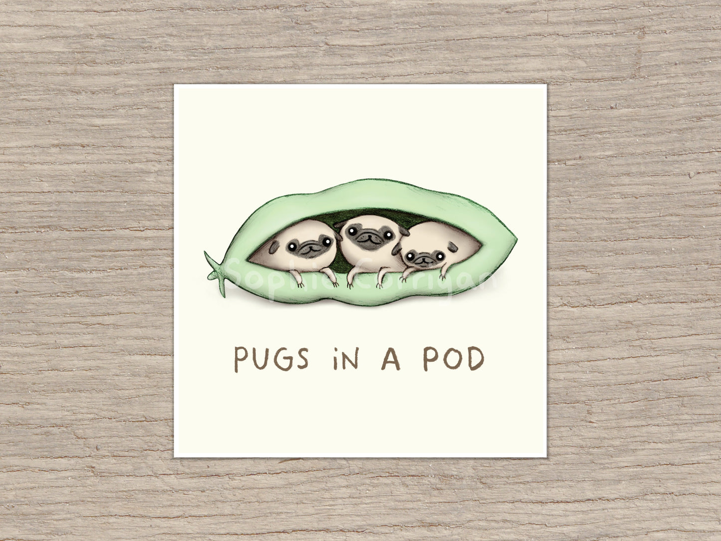 Pugs in a Pod Signed Art Print
