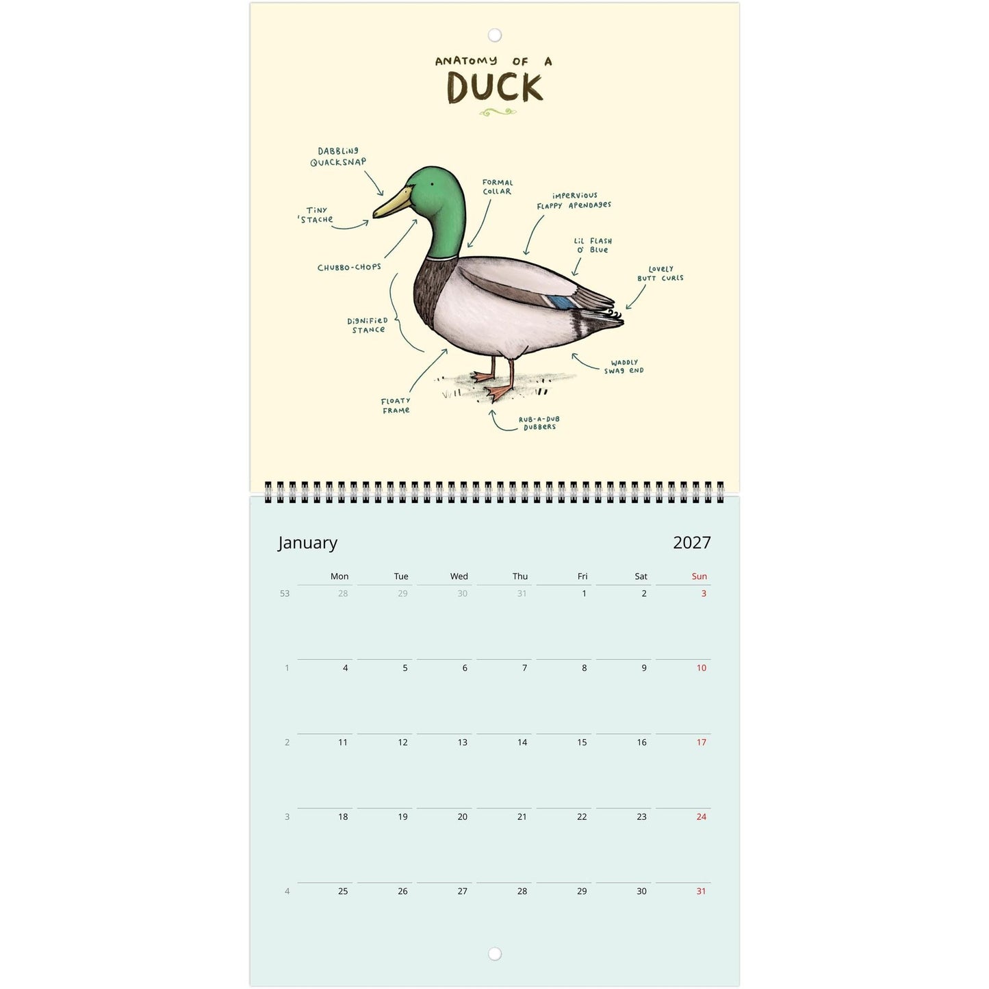 Animal Anatomy 2026 July - 2027 June Cute Creatures 12 Month Wall Calendar