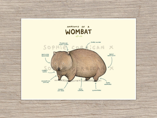 Anatomy of a Wombat Art Print: Funny Anatomical Illustration