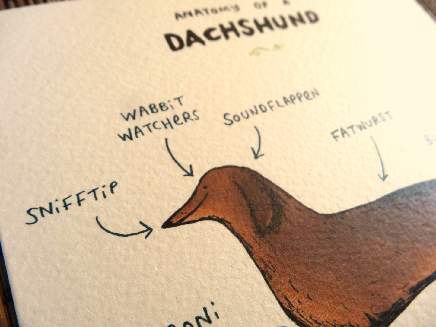 Anatomy Of A Dachshund Card