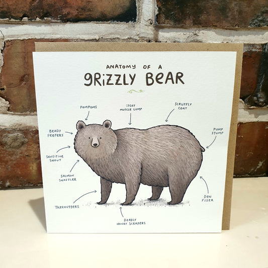 Anatomy of a Grizzly Bear Card