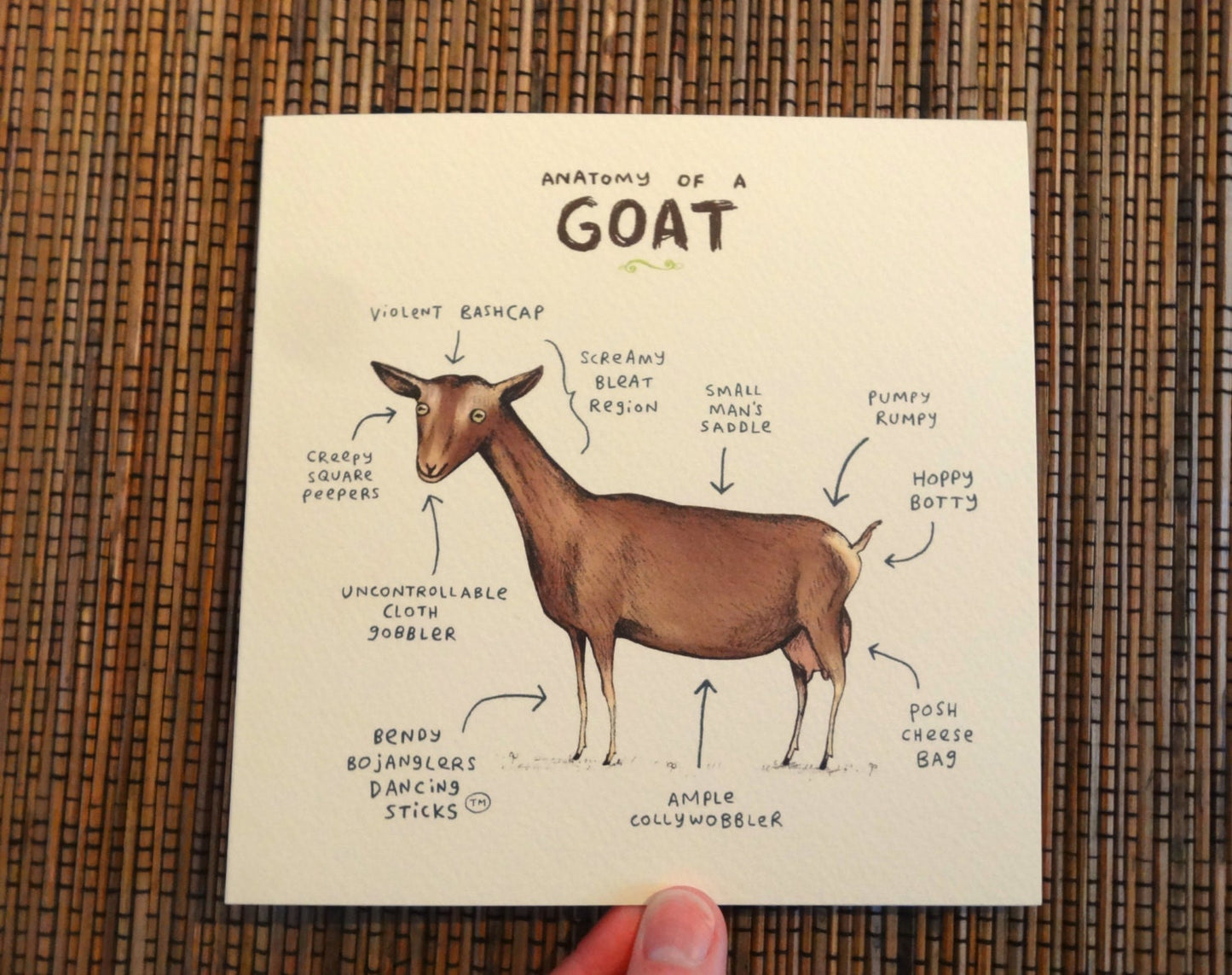 Anatomy Of A Goat Card