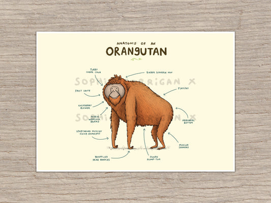 Anatomy of An Orangutan Signed Art Print
