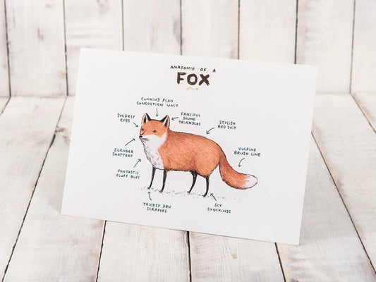 Anatomy Of A Fox A4 Signed Print