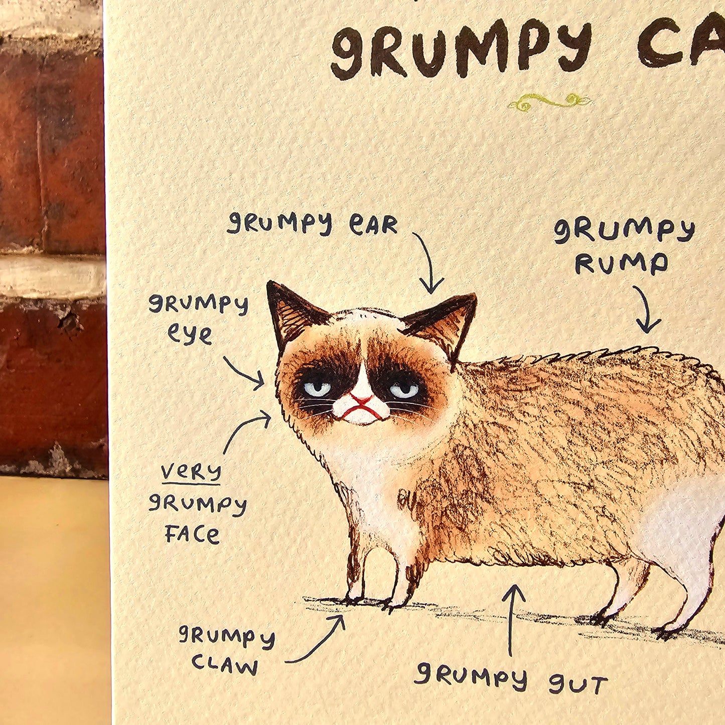 Anatomy Of A Grumpy Looking Cat Card