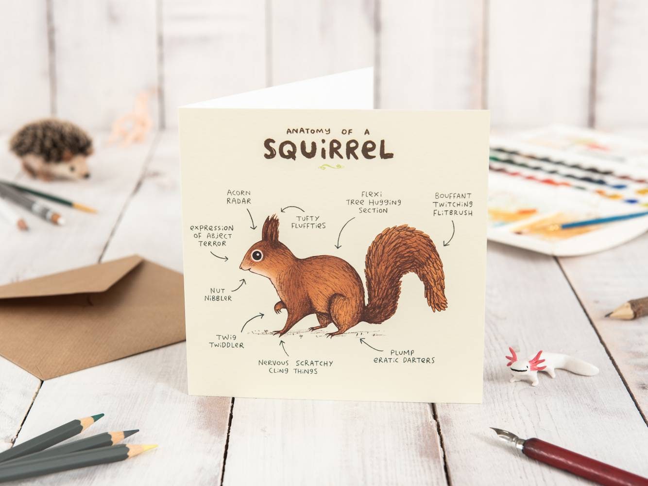 Anatomy Of A Squirrel Card