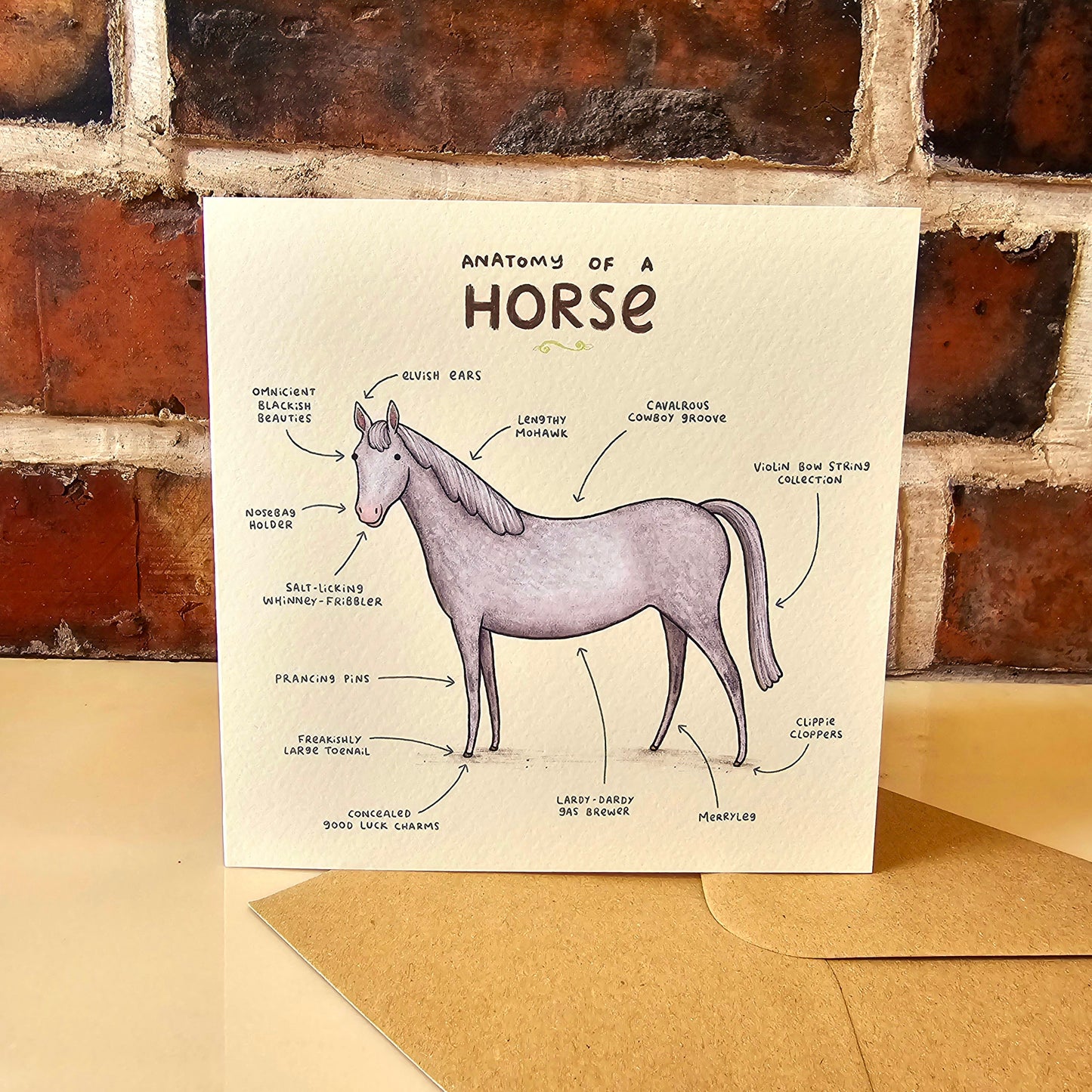 Anatomy of a Horse Card