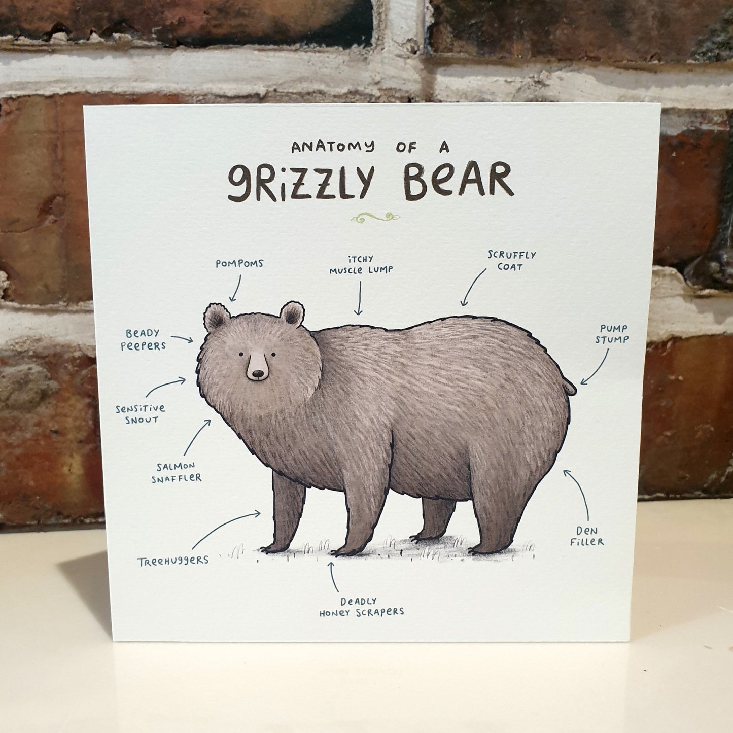 Anatomy of a Grizzly Bear Card
