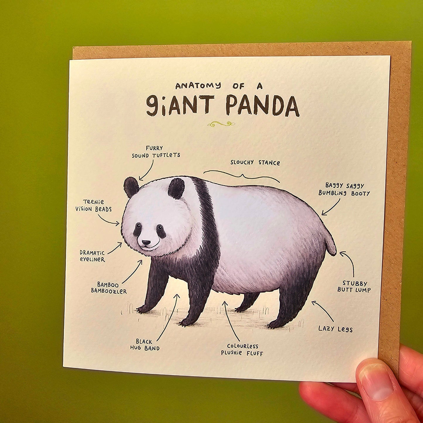Anatomy Of A Giant Panda Card
