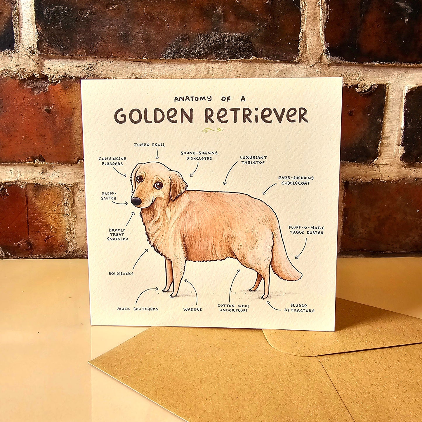Anatomy of a Golden Retriever Greeting Card: Funny Dog Illustration