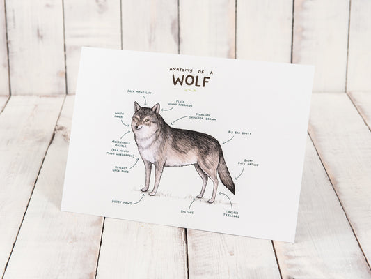 Anatomy Of A Wolf A4 Signed Print