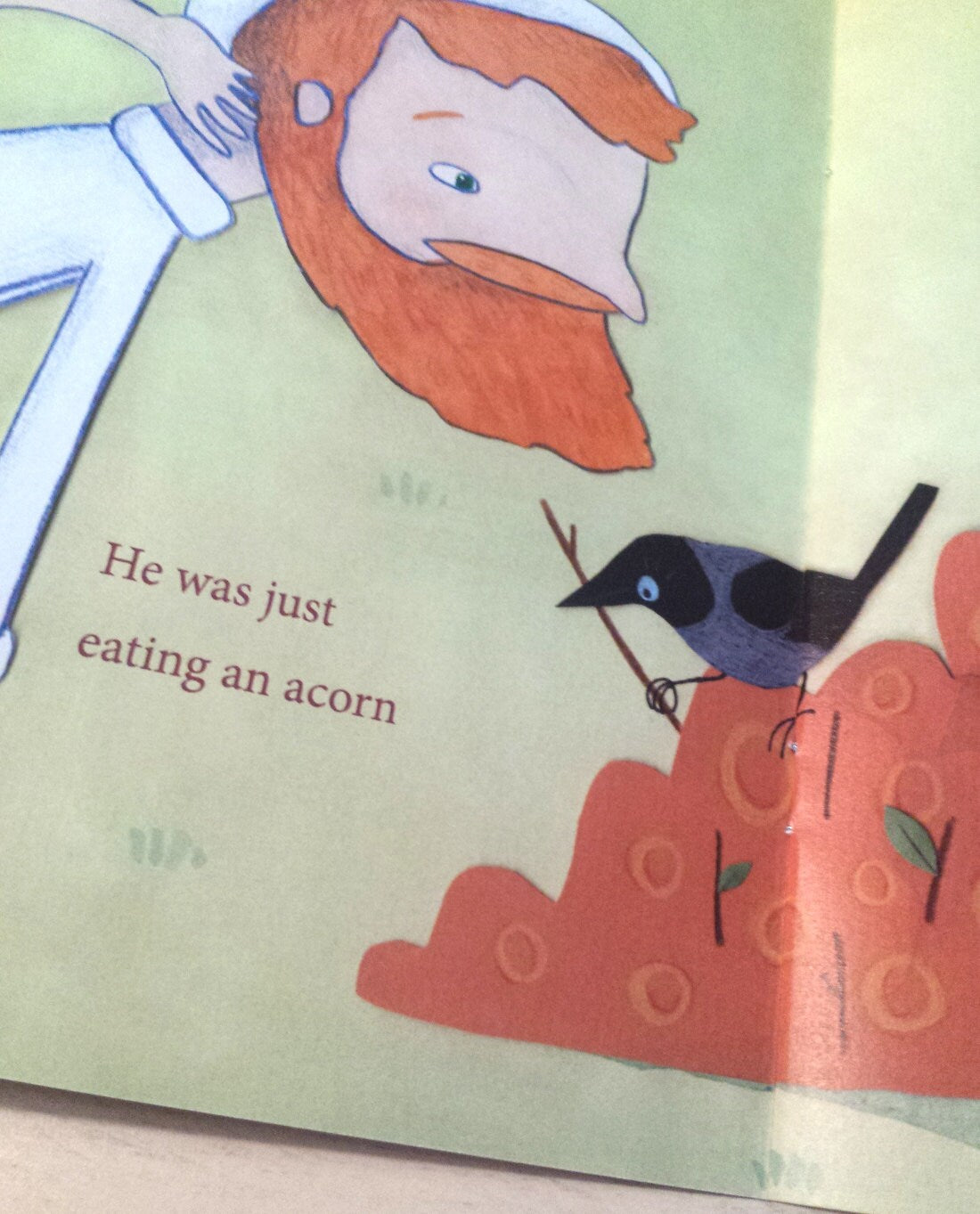 Leo's Lost Donut Children's Picture Book