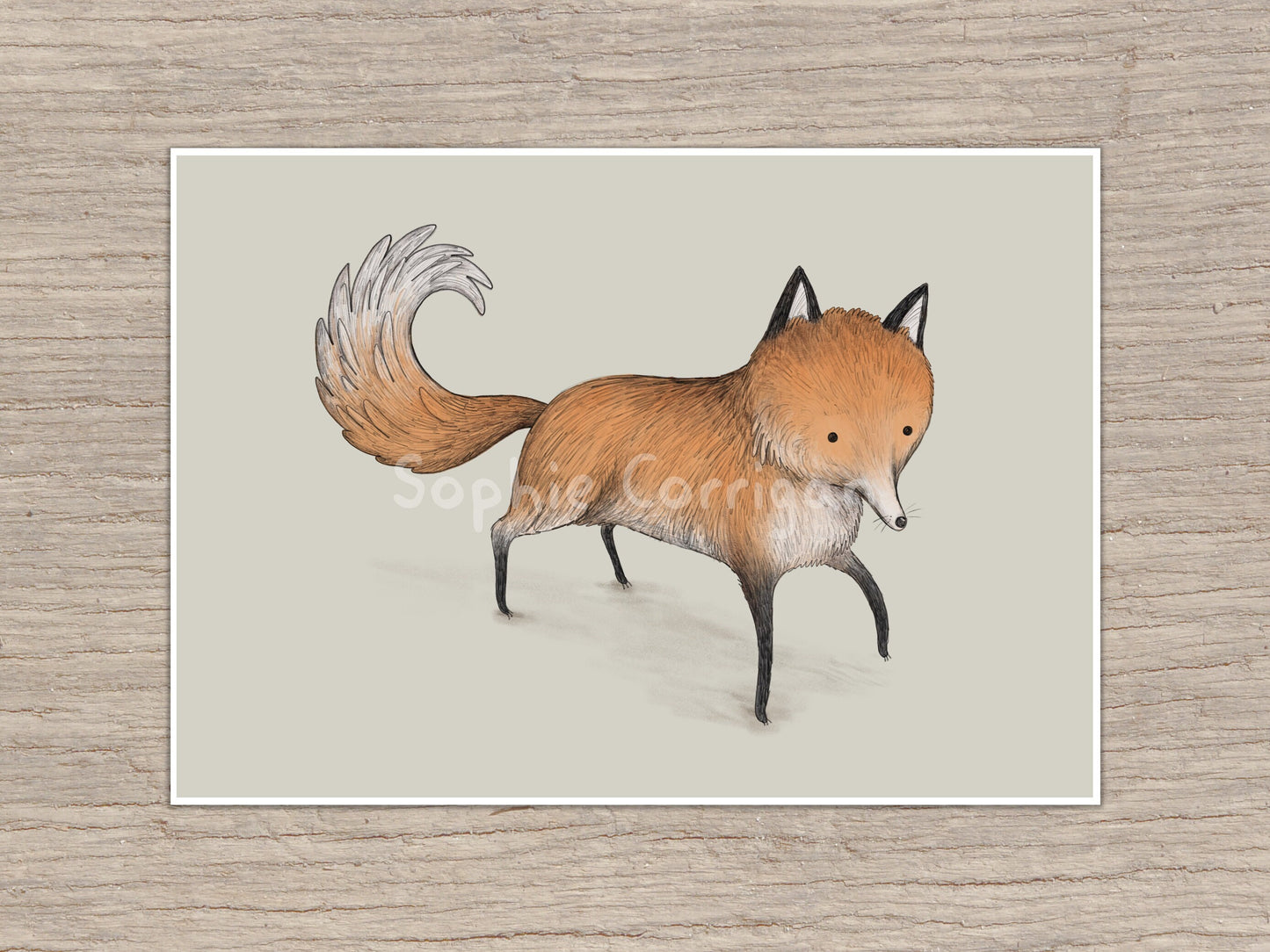 Funny Little Fox Signed Fine Art Print