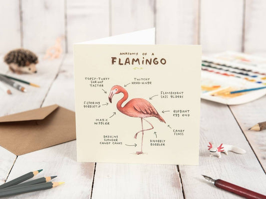 Anatomy Of A Flamingo Card